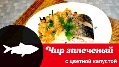 Чир - одна из самых вкусных рыб Российского севера! | Азбука Севера | Дзен