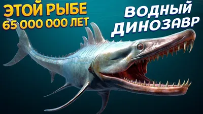 Golden Fish рыбное хозяйство on Instagram: \"Рыба возрастом с динозавров 🦕  Удивительный факт, но осетровые рыбы были еще 200 миллионов лет назад,  когда на Земле обитали динозавры и мамонты😮 И эта уникальная