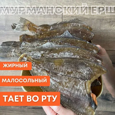 Морской ёрш, или черноморская скорпена - Михаил Соколов