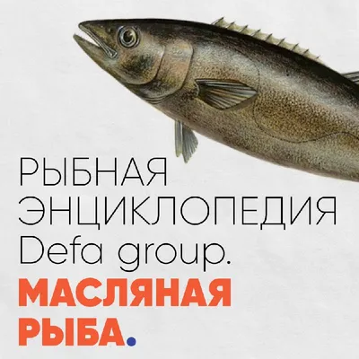 Масляная рыба Эсколар филе н/коже х/к ~1-2,5кг в/у Premium Fish™ Севилия  Россия (КОД 45083) (-18°С)