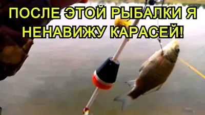 fish / смешные картинки и другие приколы: комиксы, гиф анимация, видео,  лучший интеллектуальный юмор.