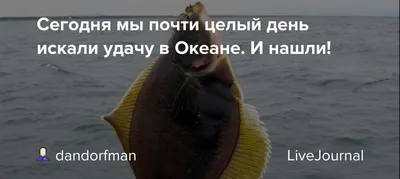 🐟 Камбала цена за 1 кг в Симферополе от 290 руб, купить свежемороженную  камбалу — интернет-магазин Дикоед