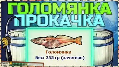 Кто такая голомянка? — Мария Орсо на TenChat.ru