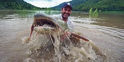 Western Ramganga River - Goonch Fishing Trip