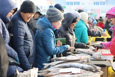 В эти выходные в Якутске пройдет ярмарка «Рыба Якутии» — Улус Медиа