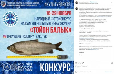 Какой только рыбы нет на выставке-ярмарке в Якутске!