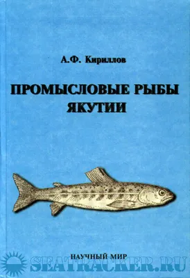 10 вкусностей Якутии, о которых должны узнать все!