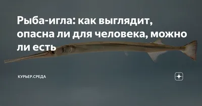 Мальдивы под водой