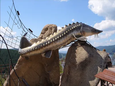 Рыбалка и ловля тунца на Коста Брава и Барселоне. Стоимость рыбалки.