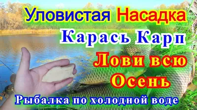 Рыба капля, описание и образ жизни