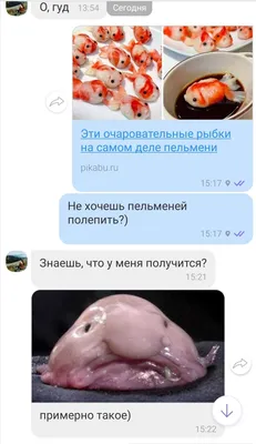 Психролют из холодных вод