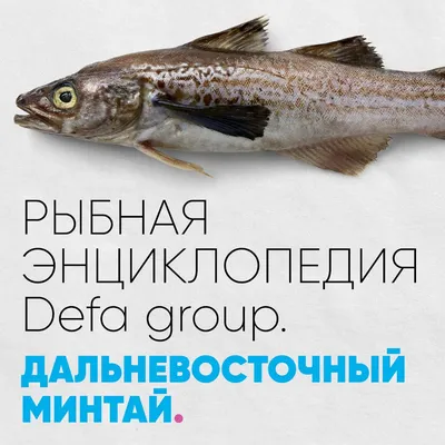 Рыба хоки: места обитания, химический состав и калорийность, рецепты  приготовления в духовке и на сковороде