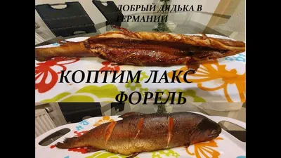 Сочный лосось в духовке рецепт с фото - 1000.menu