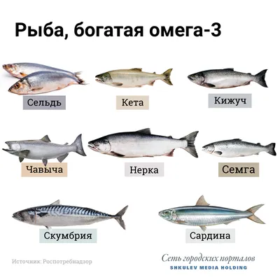 Семга охлажденная (Мурманск) 2-3 кг в шт купить в Омске с доставкой на дом  Интернет-магазин moretorg55.ru