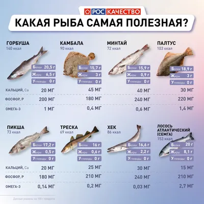 Минтай свежемороженый, БГ, тушка 25+ - купить по цене: 235 руб./кг в  интернет-магазине \"РыбоедовЪ\"