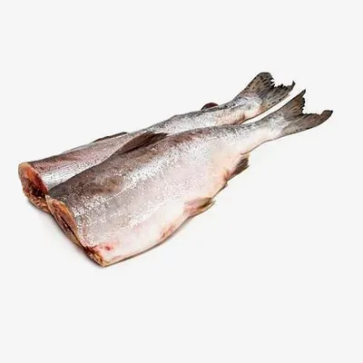 Минтай б/г с/м 300-500 (24.95 кг) North Pacific Seafoods купить по выгодным  ценам в Киеве, заказать Рыба столовых сортов онлайн в интернет магазине  морепродуктов ribka.ua