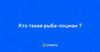 Рыбы прилипалы в океанариумах, фото и описание - Аква Лого инжиниринг