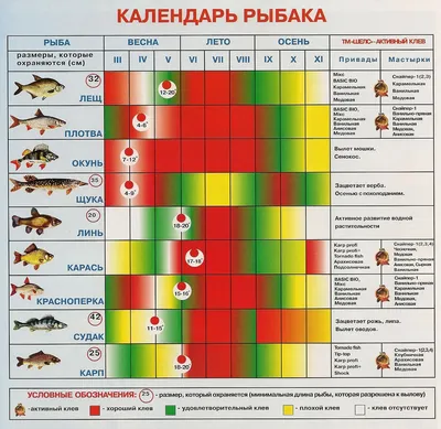 Черная Луна: какие сюрпризы приготовило Новолуние 16 августа для каждого  знака зодиака - 7Дней.ру