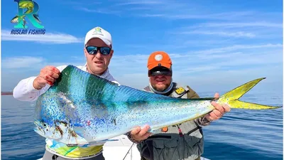 Emirates Fishing Tour - Корифена, известна также как Махи-Махи Является  классическим хищником, отличающимся прожорливостью. Основной корм Корифены  - это поверхностные и летучие виды рыб, питается она и иными  представителями ихтиофауны. Нереститься в