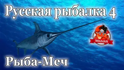 Рыба-меч на белом фоне | Премиум Фото