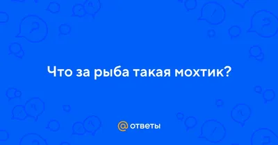 Вимба Вимба - вкусная рыба наших рек, которая меняет внешность в  зависимости от сезона | ПОДСЛУШАНО СЕКРЕТЫ РЫБОЛОВА | Дзен