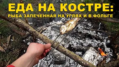 Стейки ФОРЕЛИ на Мангале. Шашлык из овощей и рыбы. - YouTube