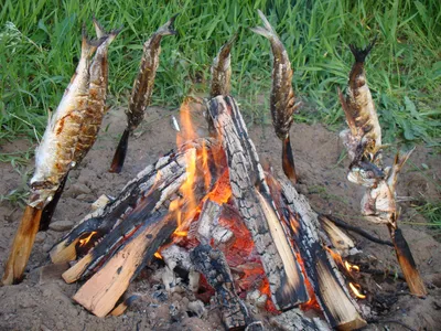 Как приготовить вкусно чавычу и сочно