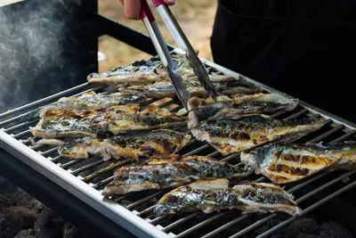 Какую рыбу можно приготовить на гриле - самые вкусные рецепты — УНИАН