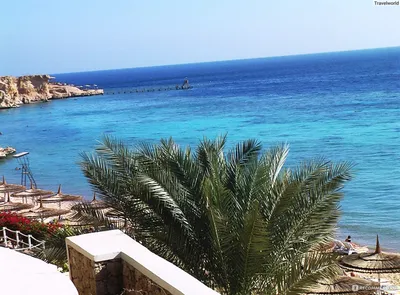 Coral reef Ras Umm El Sid, El Fanar beach #redsea #coralreef #sharmels... |  TikTok