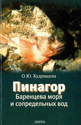 D2U club - Дайвінг клуб. - Пинагор или Рыба - воробей 🐟 Cyclopterus lumpus  - морская рыба семейства круглопёров. У взрослых особей первый спинной  плавник покрыт толстой кожной тканью (гребнем) и не