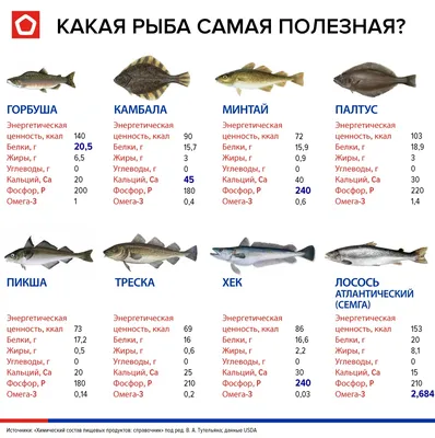 Речная форель 🐟🐟 | СТЕМАР Новости