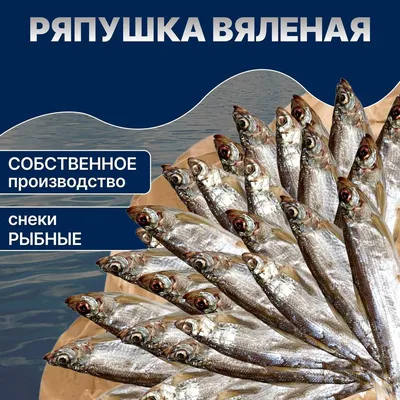 Ряпушка вяленая, 1 кг | купить деликатесы в Новосибирске | PrimeFish |  Закажите доставку!