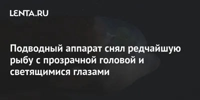 Скандинавские статуи рыбы коллекционные Ландшафтные поделки Изысканная Рыба  Скульптура для офиса заборы бороды домашний декор | AliExpress