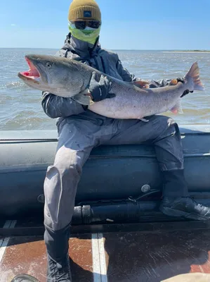 На Сахалине рыбаки выловили из моря рыбу-луну весом больше тонны