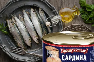 Сардина | chef.ru