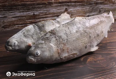 Купить рыбу с доставкой на дом.Морепродукты по низким ценам.Купить мясо.