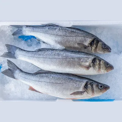 СИБАС КУПИТЬ В МОСКВЕ - цена в магазине рыбы и морепродуктов MySeafood  MARKET