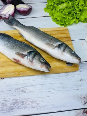 Морепродукты Икра Креветки on Instagram: \"Сибас и Дорада - акция недели👇  Охлажденная рыба из Турции на этой неделе будет продаваться по акционной  цене 4590 тг/кг. Вес каждой рыбки 300-400 и 400-600 грамм.