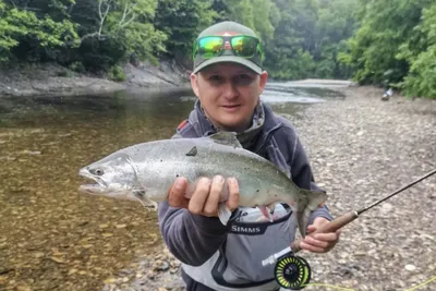 МОРЕПРОДУКТЫ | ИКРА | РЫБА | КРАСНОДАР on Instagram: \"Новинка‼ - рыба Сима.  🐟Сима считается ценной и малочисленной промысловой рыбой на Дальнем  Востоке. ❕Цена - 860 руб/кг.❕ Является разновидностью красных рыб, и