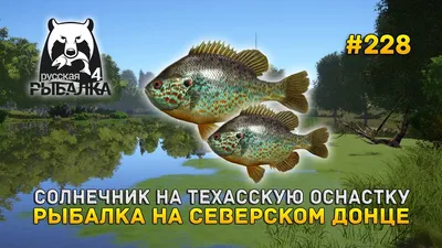 ☰ Солнечник «John dory» охлажденный Греция цена от 1495 грн заказать с  доставкой в городе Киев