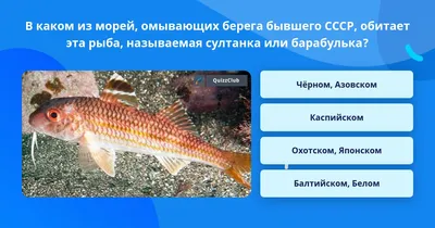 Барабулька черноморская свежемороженая купить в Екатеринбурге с доставкой.  Molluska