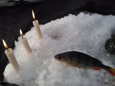 Свеча фигурная декоративная в форме рыбы Рыба свеча фигурная интерьерная  без аромата восковая подарочная свеча — купить в интернет-магазине по  низкой цене на Яндекс Маркете
