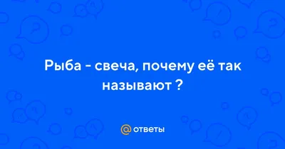 YUG: большая рыба с видом на Чёрное море – ЇЖА МІСТА