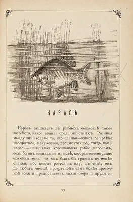 50 см, имитация кавайной свиньи, плюшевые игрушки, чучела, глаз, свинья,  плюшевая подушка, рыба, игрушки, креативные подарки, искусственная |  AliExpress