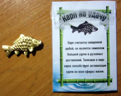 Pet Fish - Не только красиво Само по себе слово «рыба» на китайском языке  обозначает счастье, удачу, изобилие, поэтому рыбки — талисман, приносящий  процветание и благополучие. Этим фактом и обусловлена китайская традиция