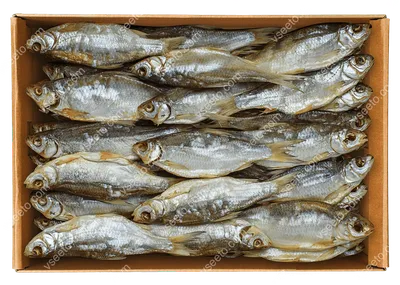 Вяленая тарань - Fishmarket - магазин рыбы и морепродуктов