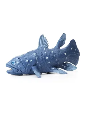 Латимерия или целакант (лат. Latimeria или Coelacanth) – Интересные животные