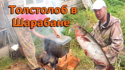 Сазан и Ауха в шарабане.На природе очень простой и вкусный рецепт - YouTube