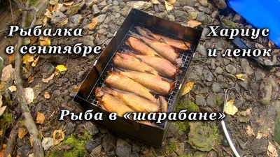 Свежемороженая рыба купить в Хабаровске с доставкой на дом