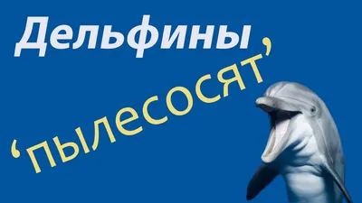 Энциклопедия \"Жизнь животных\" (1970). СЕМЕЙСТВО РЫБЫ-ПОПУГАИ ИЛИ СКАРОВЫЕ  (SCARIDAE)